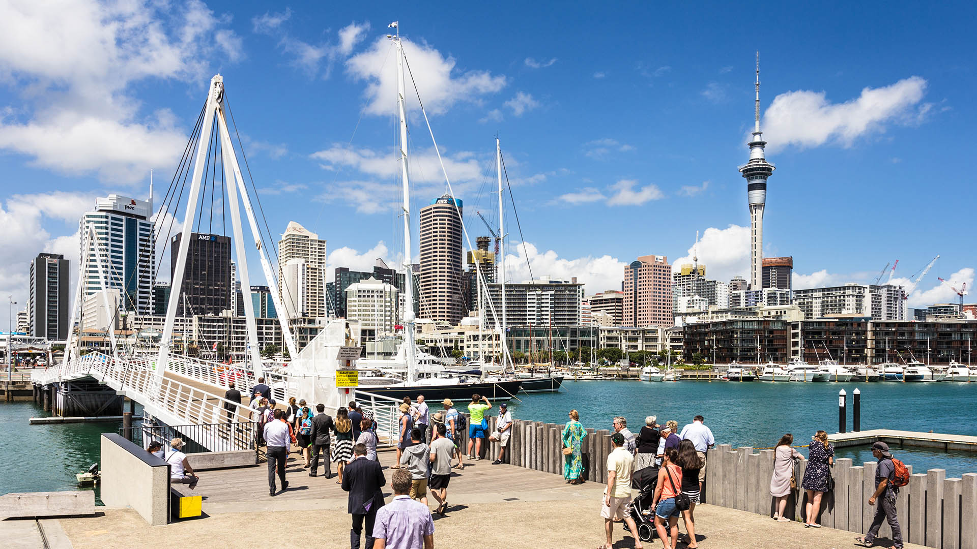 Things to see and do in Auckland: The Best Family Attractions