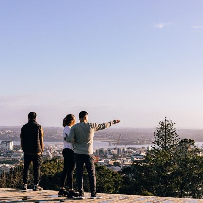 Mt Eden / Maungawhau