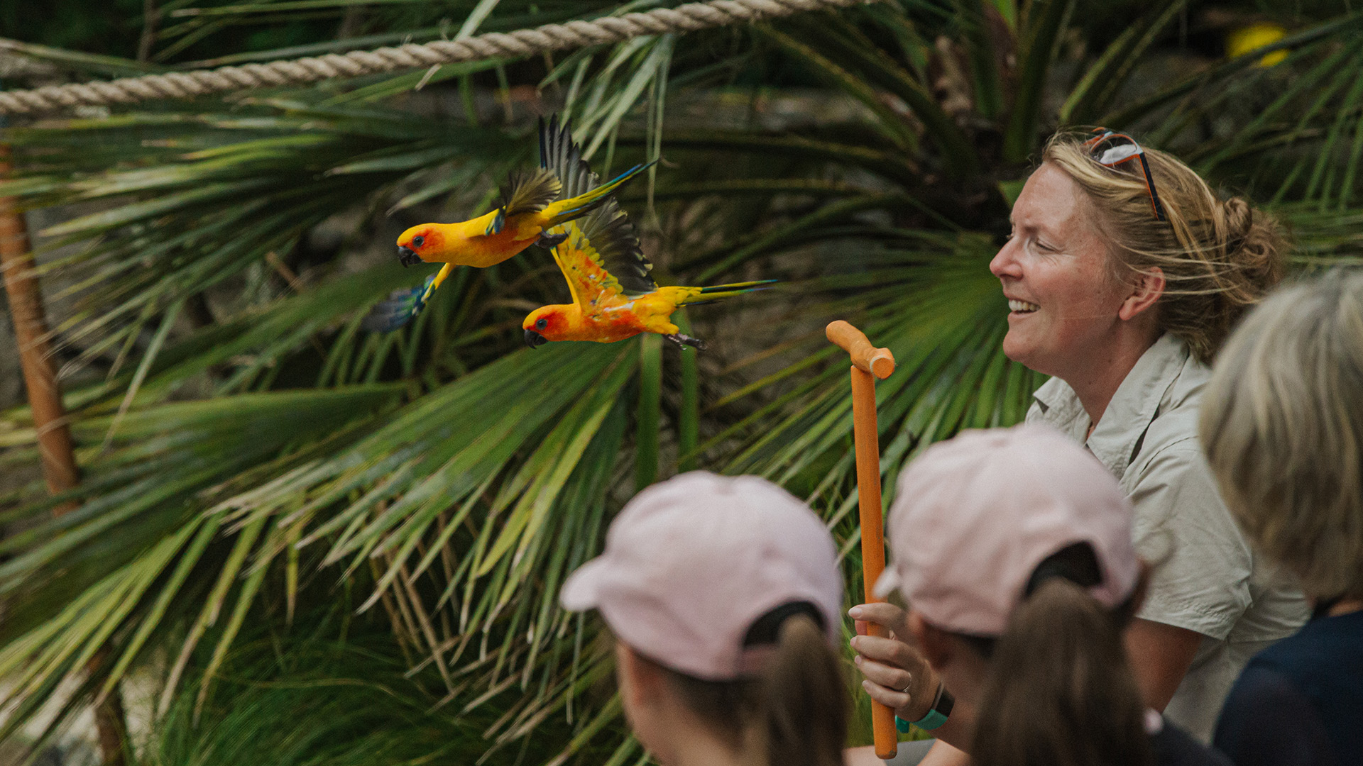 Auckland Zoo